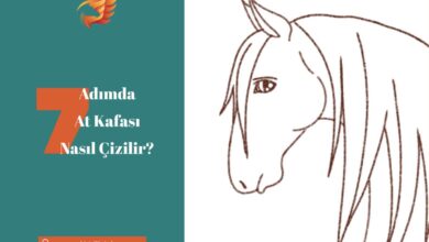 7 adımda at kafası nasıl çizilir