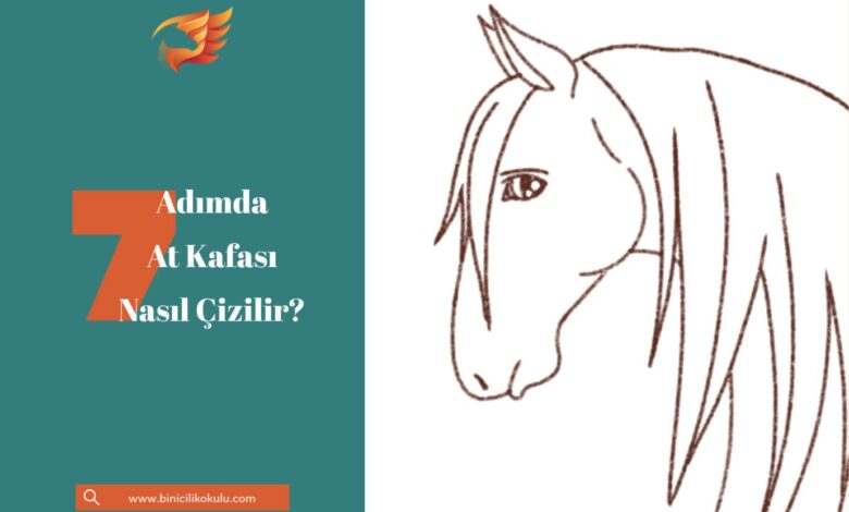 7 adımda at kafası nasıl çizilir