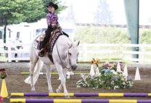 Çocuklar İçin En Uygun 9 At ve Pony - Çocuklara Göre Doğru At Seçimi Nasıl Yapılır? 9