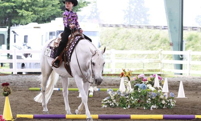 Çocuklar İçin En Uygun 9 At ve Pony - Çocuklara Göre Doğru At Seçimi Nasıl Yapılır? 1